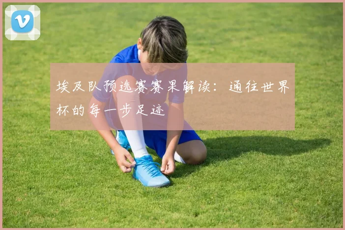 埃及队预选赛赛果解读：通往世界杯的每一步足迹
